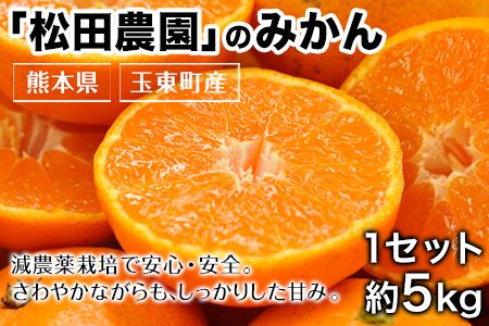ジューシーで甘い♪『松田農園』のみかんたっぷり約5kg (S-2Lサイズ) 予約受付中 フルーツ 秋 旬 熊本県 玉名郡玉東町『松田農園』手間暇かけたこだわりのミカン[11月上旬-1月下旬頃出荷]---sg_mtdmikan_ak111_r7_12500_5kg---
