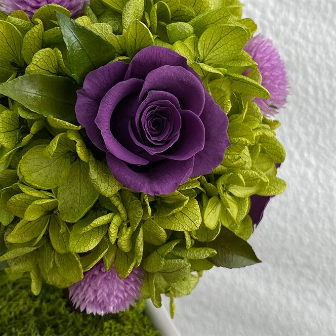 AJ188-1 プリザーブドフラワー【プティシュシュ/パープル】春日部市 シュガーパイン