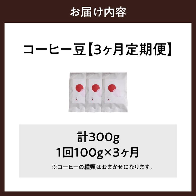 【3ヵ月定期便】自家焙煎コーヒー豆 100g×3ヵ月 種類おまかせ スペシャルティコーヒー こだわり 目利き 焙煎 自家焙煎 ティータイム 人気 群馬県 千代田町