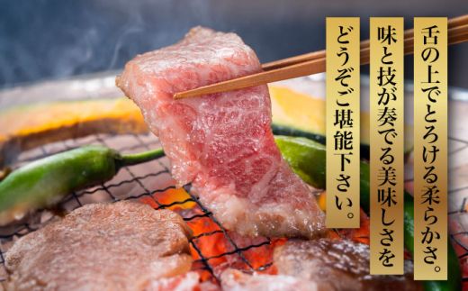 【全3回定期便】【化粧箱入】A5〜A4ランク 博多和牛 厳選セット（計1150g）焼肉たれ・塩胡椒付《築上町》【株式会社マル五】[ABCJ117]