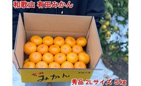 【秀品・サイズ２Ｌ】まる隆果樹園　和歌山有田産！早生みかん≪5kg≫【予約販売】【数量限定】CS015