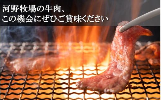 国東牛（国東市産の豊後牛）バラ焼肉用（1口カット）500g_2211R