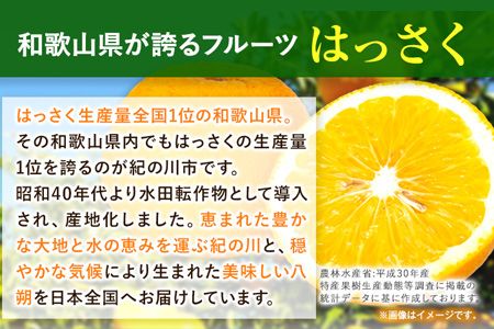 和歌山産 手剥き八朔 缶詰 450g×8缶入り 厳選館 《90日以内に出荷予定(土日祝を除く)》和歌山県 日高川町 はっさく 八朔---wshg_tmt127_90d_24_18000_8k---