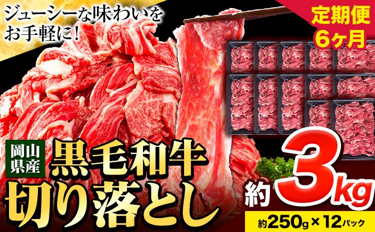 牛肉 肉 黒毛和牛 切り落とし 訳あり 大容量 小分け[定期便] 3kg 1パック 250g 6回 [お申込月の翌月より発送]岡山県産 岡山県 笠岡市 お肉 にく カレー 牛丼 切り落し 切落し---223_f746tei_23_180000_18kg---