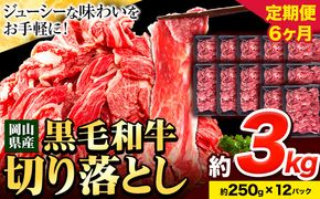 牛肉 肉 黒毛和牛 切り落とし 訳あり 大容量 小分け【定期便】 3kg 1パック 250g 6回 《お申込月の翌月より発送》岡山県産 岡山県 笠岡市 お肉 にく カレー 牛丼 切り落し 切落し---223_f746tei_23_180000_18kg---