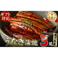 【ギフト対応】鹿児島県大隅産くすだ屋の極上うなぎ3尾(計360g以上/120g×3) a6-042