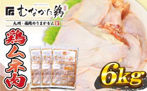 宗像産ブランド鶏【むなかた鶏】ムネ肉6kg（平飼い）【JAほたるの里】_HA1418