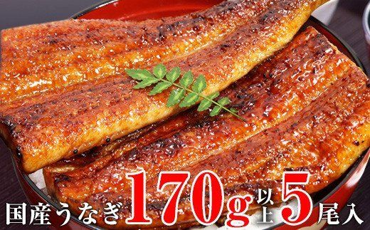 490.【うなぎ屋かわすい】特大サイズ国産うなぎ蒲焼き5本セット（合計850g）(A490-1)