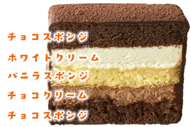 杉戸のレンガ Lサイズ (4～5人用) くせになる美味しさのショコラケーキ [0533]