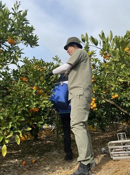 ［ご家庭用・サイズＳ］和歌山有田産！早生みかん≪5kg≫［予約販売］［数量限定］まる隆果樹園　 	CS019