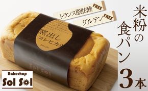 グルテンフリー 米粉食パン 窯出しコシヒカリ 3本 H083-018