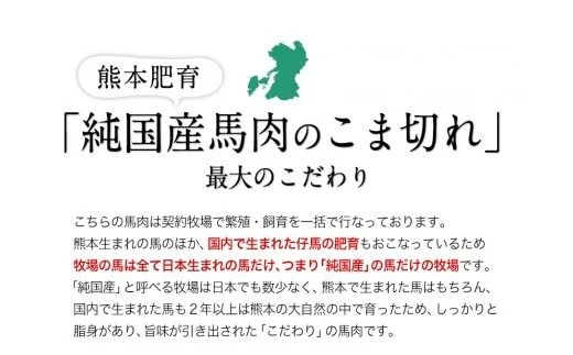 ★生食OK★馬肉のこま切れ400g《30日以内に出荷予定（土日祝除く）》 熊本県 玉名郡 玉東町 馬刺し 国産 送料無料 馬肉 タレ付き---gkt_fkgbkm_30d_23_12000_400gt---