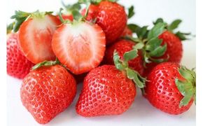 【先行予約】【2025年12月中旬より順次発送】福岡県産　あまおう　4パックセット【ナチュレッシュ・ファーム・ジェイピー】_HA1335