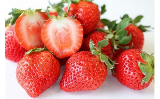 y@szys\zy2025N12{菇zY@܂@2pbNZbgyi`bVEt@[EWFCs[z_HA1336