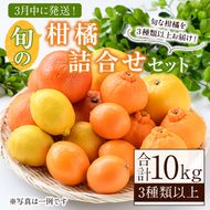 ＜3月発送分！＞旬の柑橘詰合せセット (約10kg) 国産 柑橘 果物 フルーツ 柑橘 ミカン 旬 詰合せ セット【桐野柑橘株式会社】a-24-46-m03-z