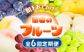 【2025年先行予約】 定期便6回コース 岡山のフルーツ 清水白桃 6玉 岡山の白桃 6玉 ニューピオーネ 1房 瀬戸ジャイアンツ 1房 シャインマスカット 晴王 2房 紫苑 1房 あたご梨 4~5玉 株式会社山博(中本青果) 《2025年7月上旬-12月下旬頃出荷》岡山県 浅口市---124_c257tei_23_175000_jul6---