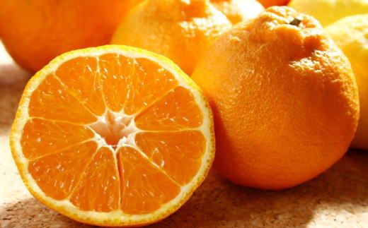 ［濃厚］有田の不知火約4kg（10～18玉）★2026年2月中旬頃より順次発送［TM29w］ BZ006