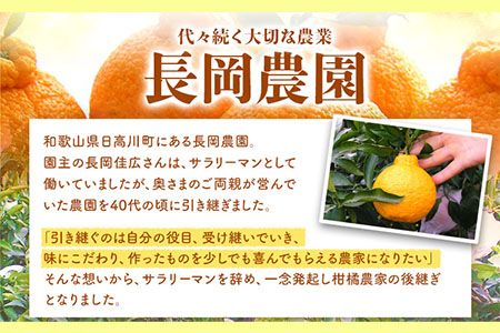 [先行受付][家庭用]不知火 ( デコポン )と同品種 約 10kg 長岡農園[2月中旬-4月上旬頃出荷] 和歌山県 日高川町 ご家庭用---wshg_ngk11_2c4j_24_16000_10kg---