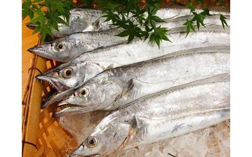 322 太刀魚の蒲焼き（100g）3本セット(A322-2)