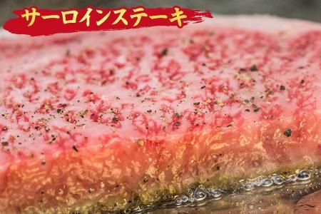 佐賀牛 サーロインステーキ 300gx2枚 （合計600g） A5 A4 【希少 国産和牛 牛肉 肉 牛 ステーキ】(H085118)