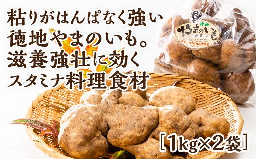 yRRszD213 n܂̂1s(ƒp)×2