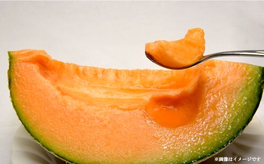 《2026年分受付中！6月中旬ごろ締め切り》大玉！ジューシーな果肉のI.Kメロン1玉【01003】