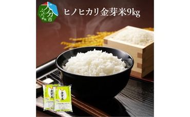 【B01020】大分丹生米の里ヒノヒカリ金芽米　4.5kg×2袋