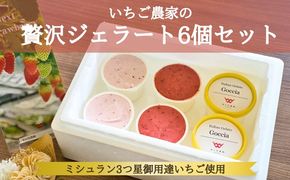 100％ナチュラルな バスソルト 50g×10本 500g 「Kyo no Hinoki」京都 