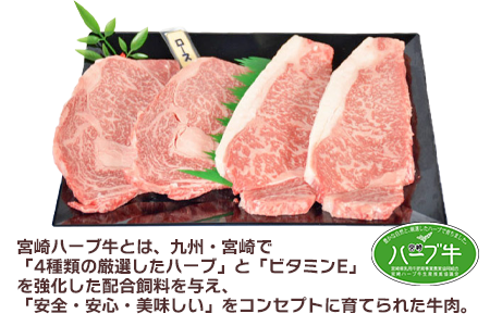 ＜宮崎ハーブ牛こんげぎょうさんセット1.7kg＞入金確認後、翌月末迄に順次出荷【c006_fw_x1】