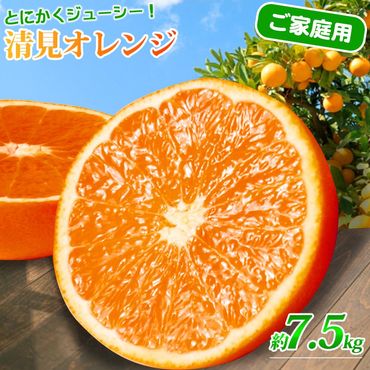 【ご家庭用訳アリ】紀州有田産清見オレンジ　7.5kg【2025年3月下旬以降発送】【先行予約】【UT54】　AN014