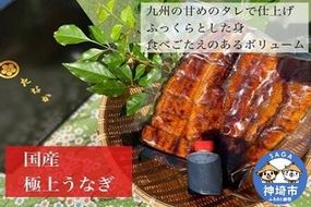 九州産特大うなぎ1尾(カット済み) 【手作り 国産 丑の日 冷凍 肉厚 うなぎ 鰻 蒲焼 真空】(H071121)