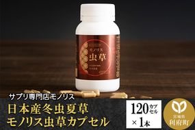 日本産冬虫夏草 モノリス虫草カプセル 120カプセル 1本 (1本30g)|06_mnr-010101