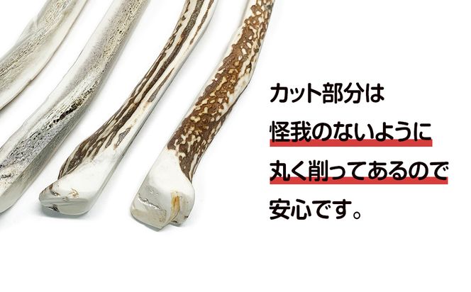 鹿の角 エゾシカ 犬のおもちゃ 『鹿角さん』 中型犬～大型犬用　四つ割りロング　１本 CB033
