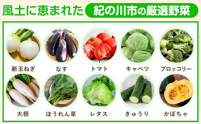 【12ヶ月定期便】紀の川市の恵み 旬のフルーツ＆野菜セット 計8~10品《お申込み月翌月から出荷開始》和歌山県 紀の川市 フルーツ 果物 野菜 セット 桃 梅 みかん 新玉ねぎ なす トマト キャベツ---wfn_cwltei_25_148000_mo12num1---