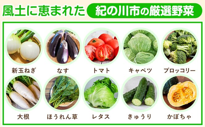 【3ヶ月定期便】紀の川市の恵み 旬のフルーツ＆野菜セット 計8~10品《お申込み月翌月から出荷開始》和歌山県 紀の川市 フルーツ 果物 野菜 セット 桃 梅 みかん 新玉ねぎ なす トマト キャベツ---wfn_cvgs1tei_23_30000_mo3num1---