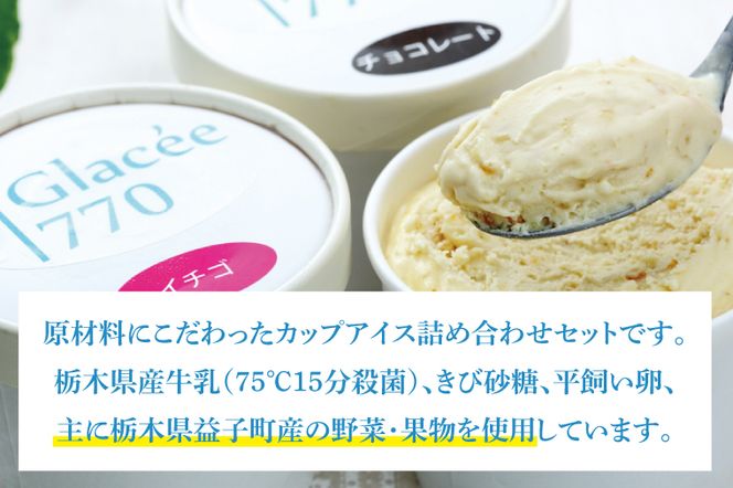 【ギフト対応可】無添加アイスクリームセット 益子町 ふるさと納税 無添加 アイスクリーム こだわり カップアイス 牛乳 きび砂糖 卵 たまご 野菜 果物 フルーツ(AB001)