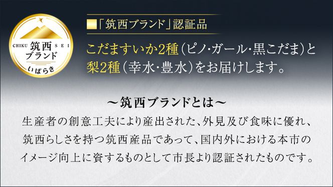 【 筑西ブランド 認証品 】 旬のフルーツ 定期便 ( 満足コース )  2026年産 先行予約 JA 幸水 豊水 こだまスイカ 黒こだま ピノ・ガール 果物 フルーツ なし 和梨 小玉すいか 小玉 すいか スイカ [AE012ci]