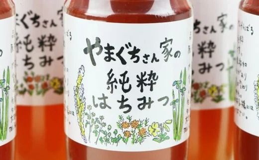 やまぐちさん家の純粋はちみつ〈250g×10本セット〉
