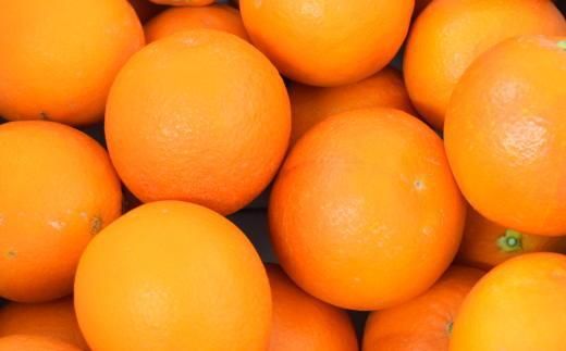 【希少・高級柑橘】国産濃厚ブラッドオレンジ「タロッコ種」約3kg★2025年4月頃より順次発送予定【TM148】XH045