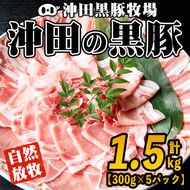 B6-01 鹿児島県産！贅沢な黒・沖田の黒豚(計1.5kg・ロース、肩ロース、バラ、モモ、ウデいずれか5パック) 自然放牧・自家製飼料で大切に育てられた黒豚肉【沖田黒豚牧場】