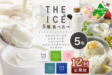 【毎月12回定期便】【THE ICE】5種食べ比べ 5個セット【CJM120206】
