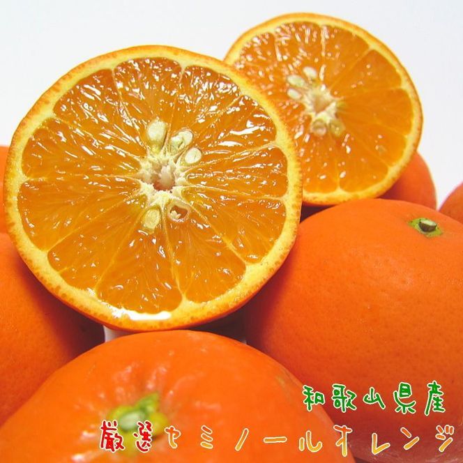 厳選 セミノール オレンジ 3kg【農家直送】【和歌山県産】【先行予約・2025年4月上旬～4月下旬発送】   XD90060