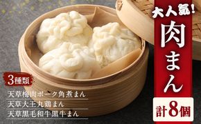 天草 大人気 ！ 肉まん 3種 セット 120g×8個 合計960g