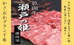 B-07 瀬戸の姫（焼肉用）《45日以内に出荷予定(土日祝除く)》