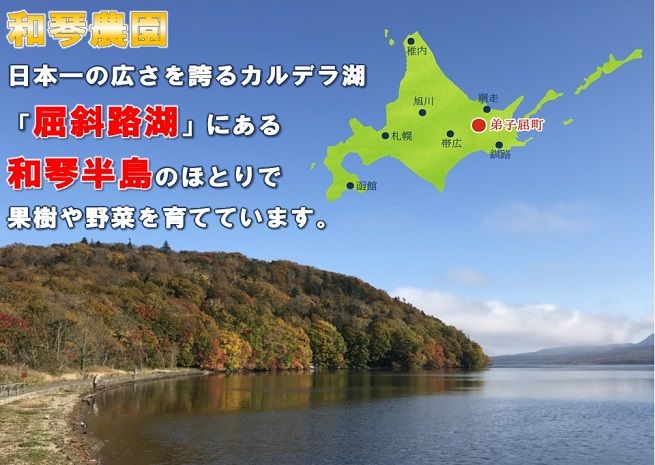 1354.北海道特産の果実ハスカップ、業務用(訳あり)１ｋｇ
