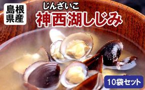 神西湖しじみ100ｇ×10Pセット（常温）【1_5-026】