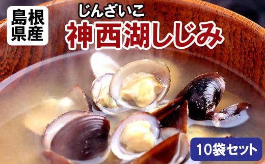 神西湖しじみ100ｇ×10Pセット（常温）【1_5-026】