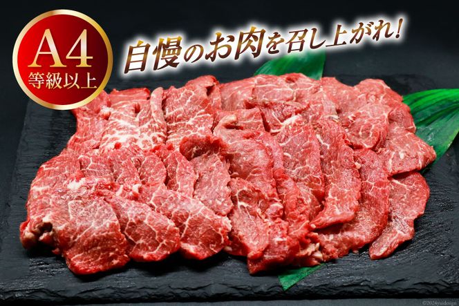 【A4等級以上】 肉 牛肉 宮崎牛 赤身 モモ赤身 焼肉用 500g [牛心フードサービス 宮崎県 美郷町 31bm0046] 冷凍 ブランド牛 焼肉 もも モモ もも赤身 モモ赤身