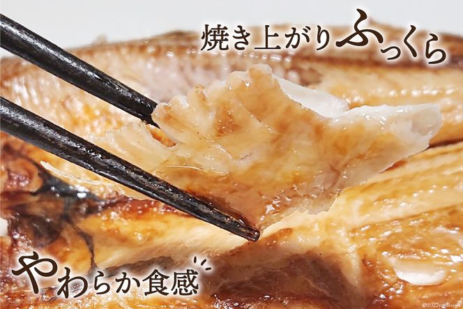 y{錧Csz󂠂  5 5p [CsYU {錧 Cs 20565738]   lߍ킹 Zbg KiO ƒp A 킯 Ђ