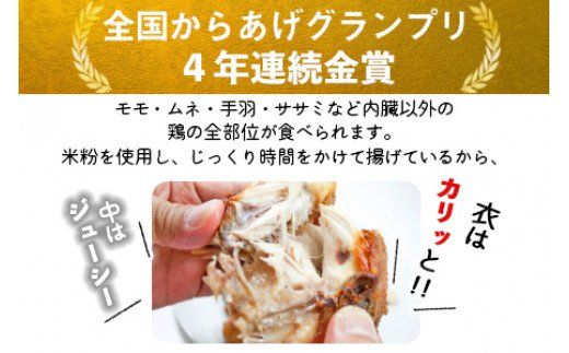 ＜半身からあげ5本セット(塩味×3本 スパイス味×2本)＞準備でき次第翌々月までに順次発送【a0032_hi】